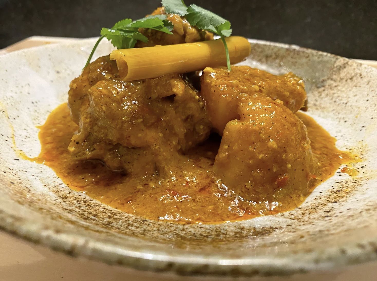 Malaysian Chicken Curry