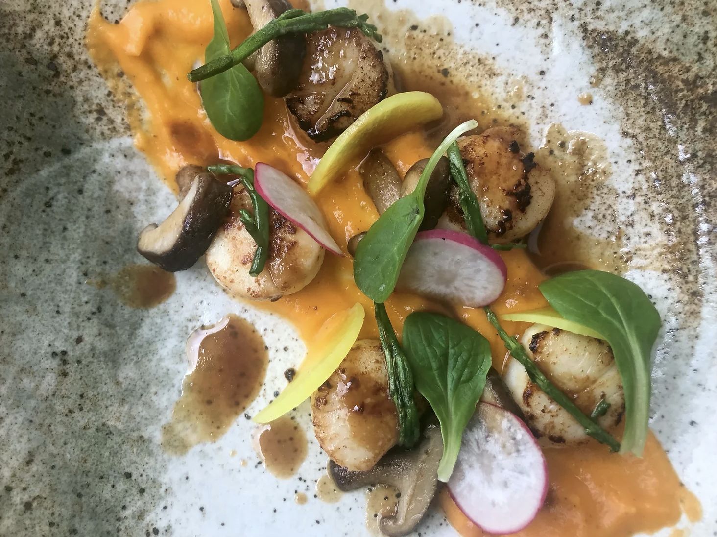 Scallops Miso Butternut Squash